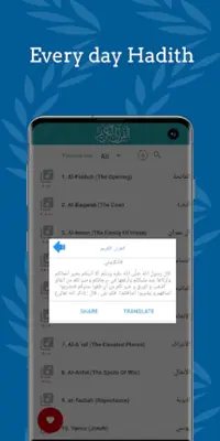 Mustafa Ismail Quran Offline android App screenshot 0